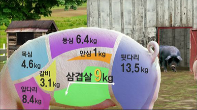 경희애문화 건강챙기기,삼겹살 리포트