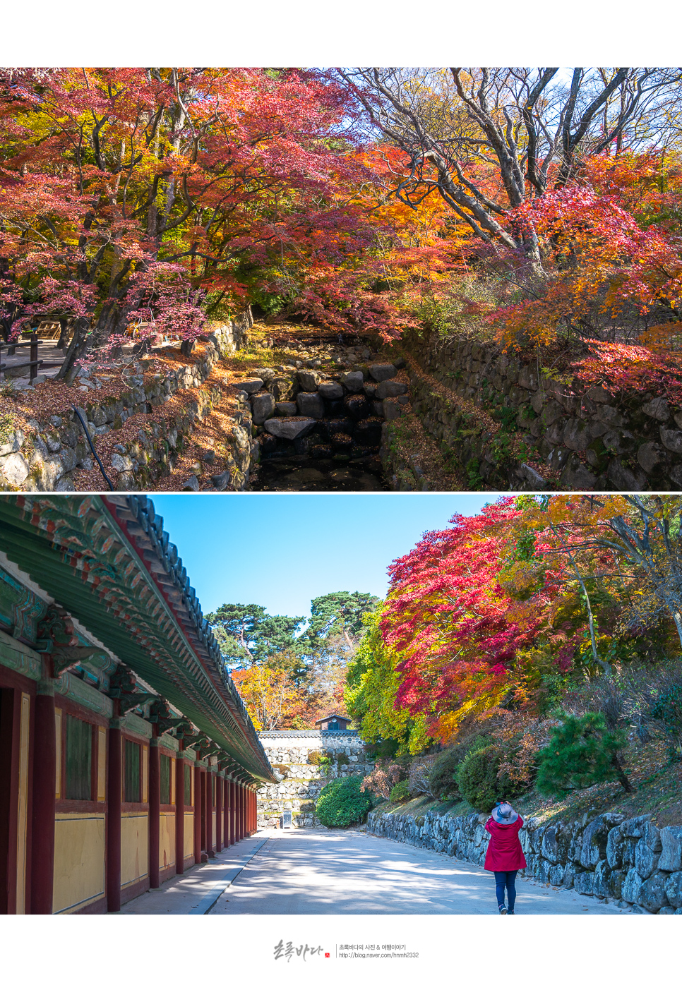 경주 가볼만한곳 불국사 경주 황리단길 식사포함