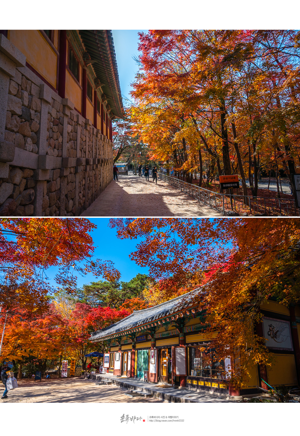 경주 가볼만한곳 불국사 경주 황리단길 식사포함