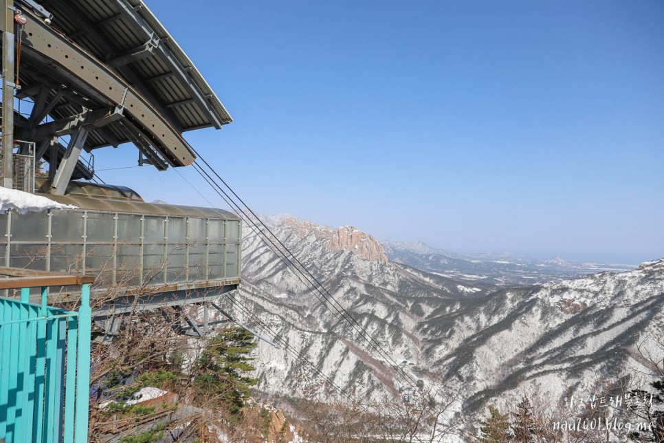 속초여행코스 당일치기 대포항 속초중앙시장 먹거리