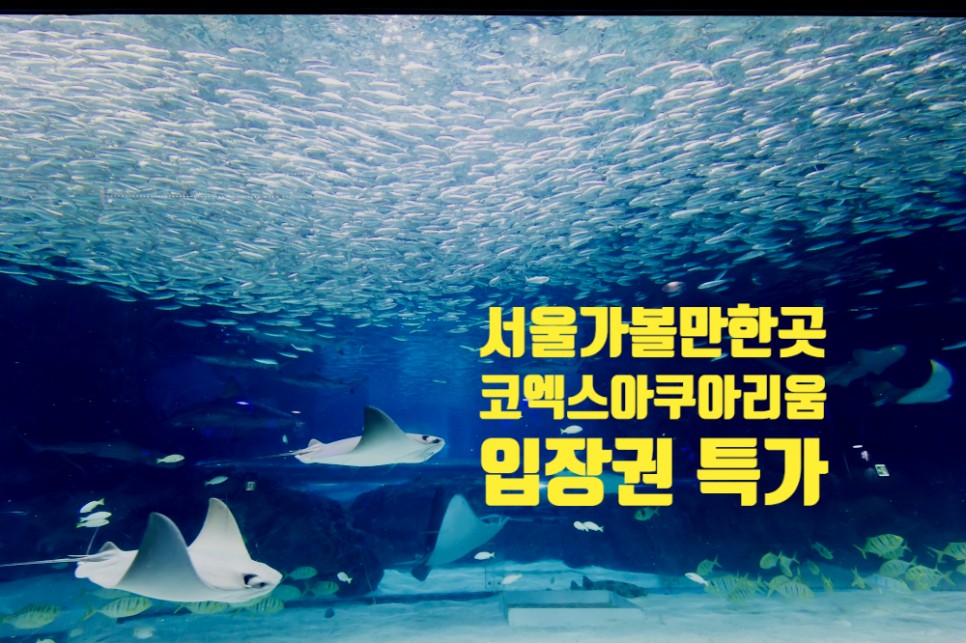 서울 가볼만한곳 코엑스 아쿠아리움 입장권 할인 기간한정