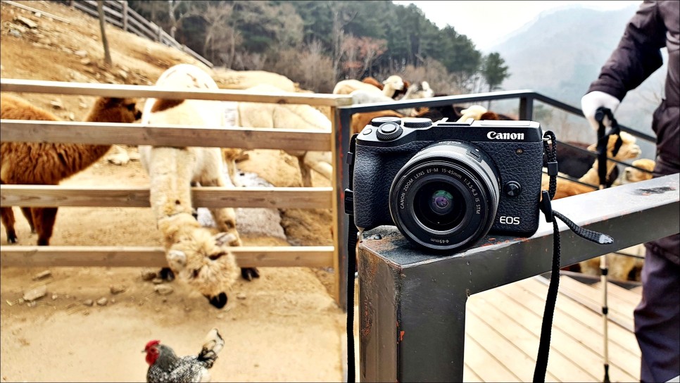 겨울여행의 동반자 브이로그 카메라 EOS M6 Mark2