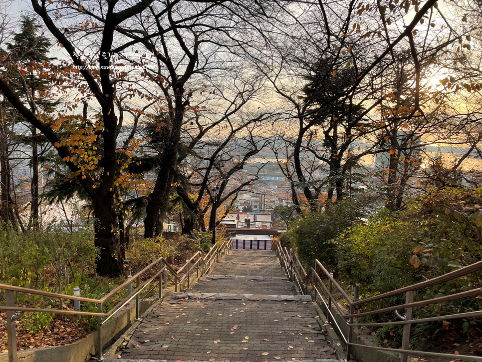 서울 근교 갈만한곳 인천 자유공원 선셋 볼거리
