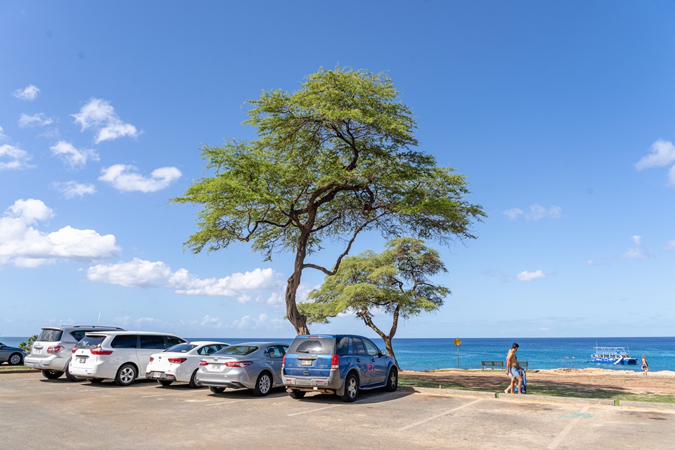 해외 휴양지 하와이 여행 : 해변, 탄탈루스 언덕, 포케바