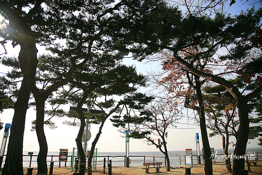 인천 강화도 가볼만한곳 동막해변 바닷가 겨울 데이트 코스 외