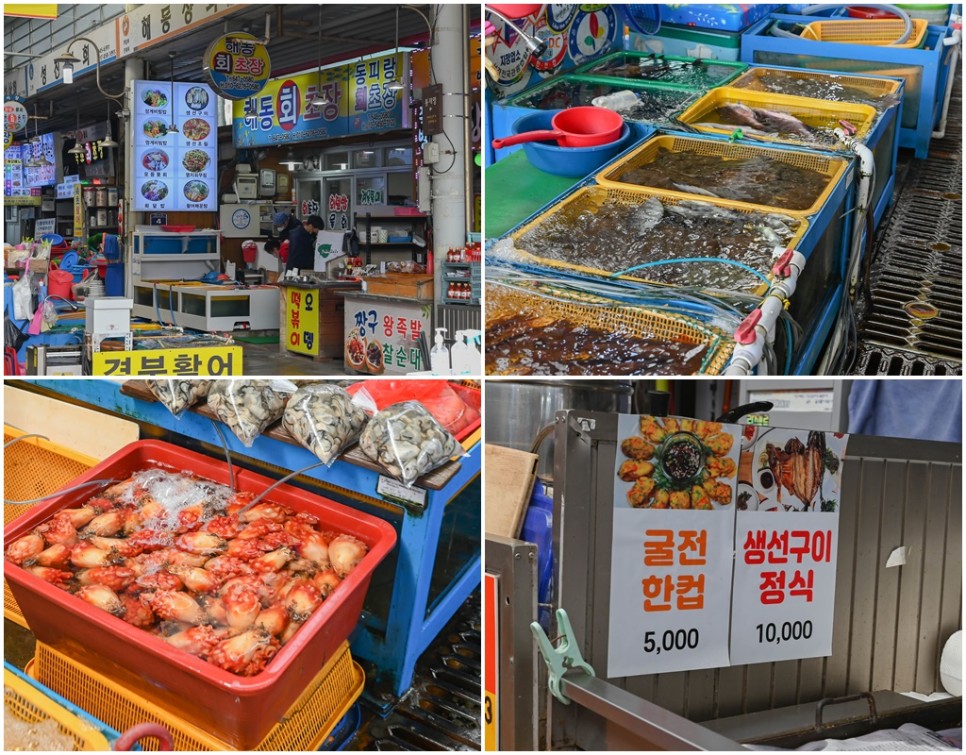 통영 가볼만한곳 디피랑 동피랑 통영중앙시장 먹거리 정리
