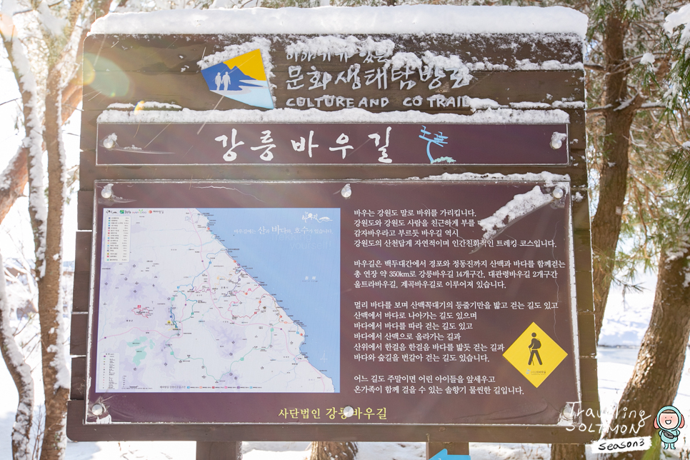 국내 겨울 여행지 추천 눈 덮인 경포호 포함 3곳