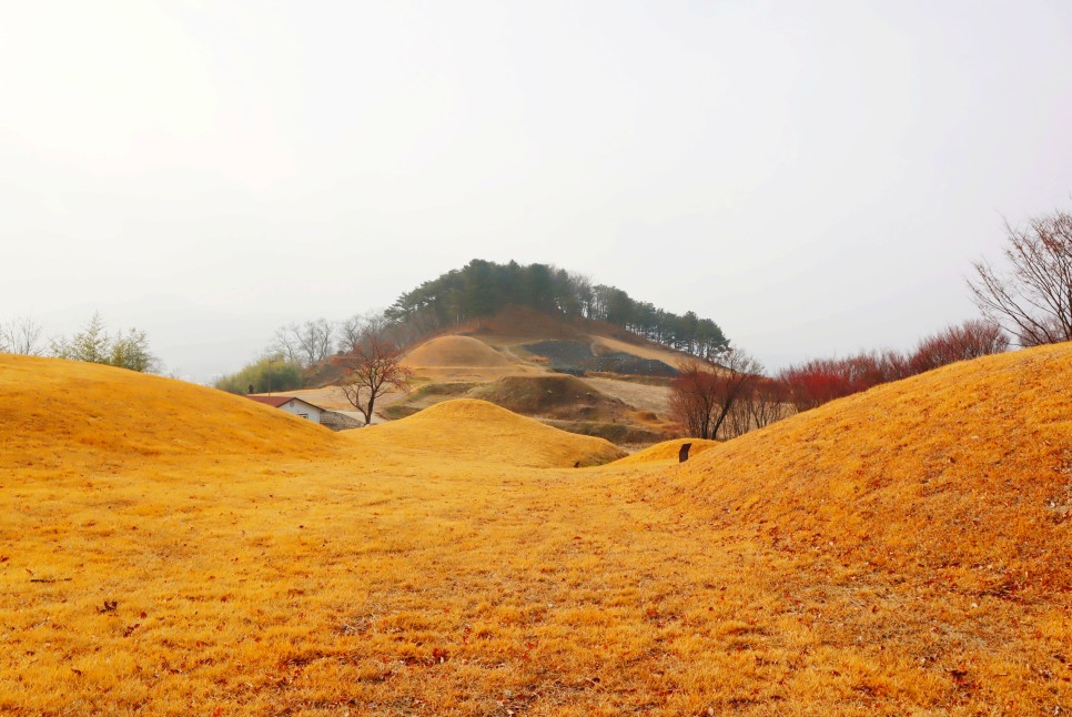 국내 여행지 추천 남원 지리산 허브밸리 핫플부터 합천 여행까지