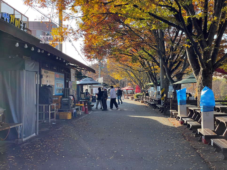 광주 근교 당일치기여행 담양 국수거리 관방제림