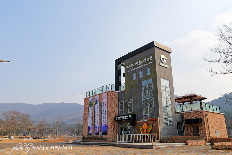 겨울 고창 가볼만한곳 고인돌유적지 동호해변 해수욕장 서해 일몰명소