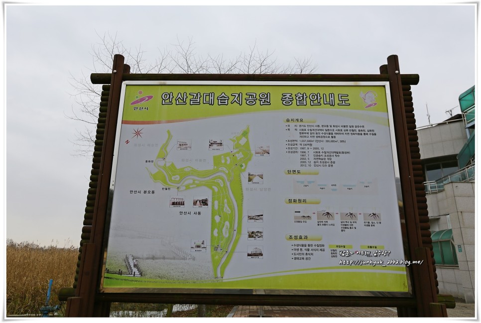 경기도 가볼만한곳 안산 갈대습지공원