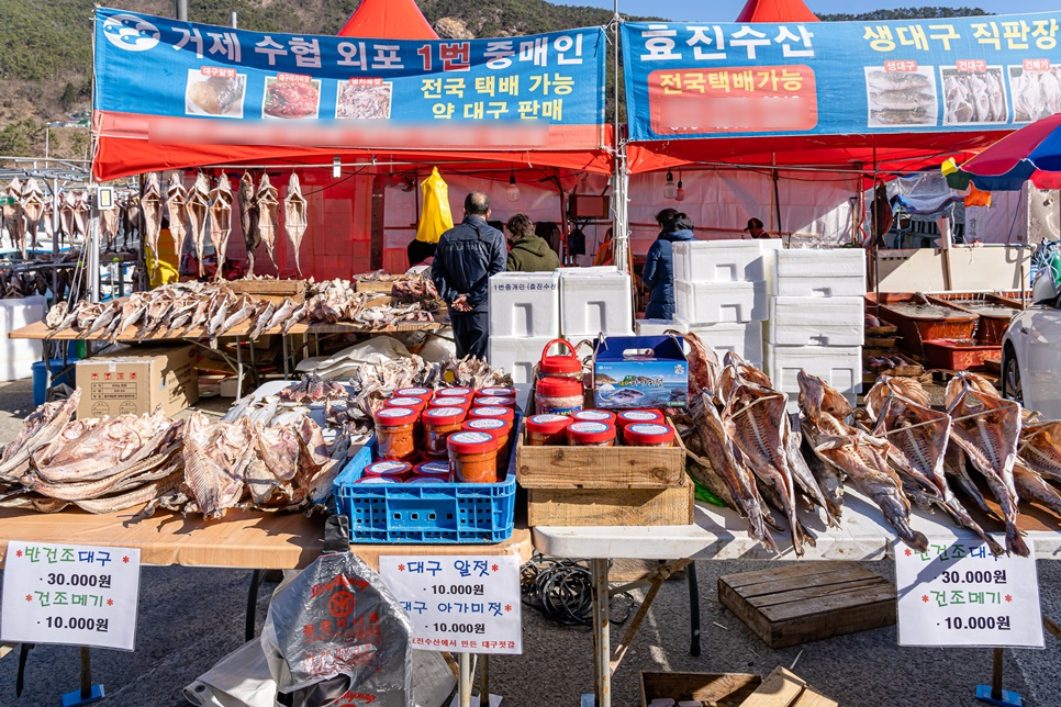 거제도 갈만한곳 외포항 수산시장 먹거리 & 거제 카페