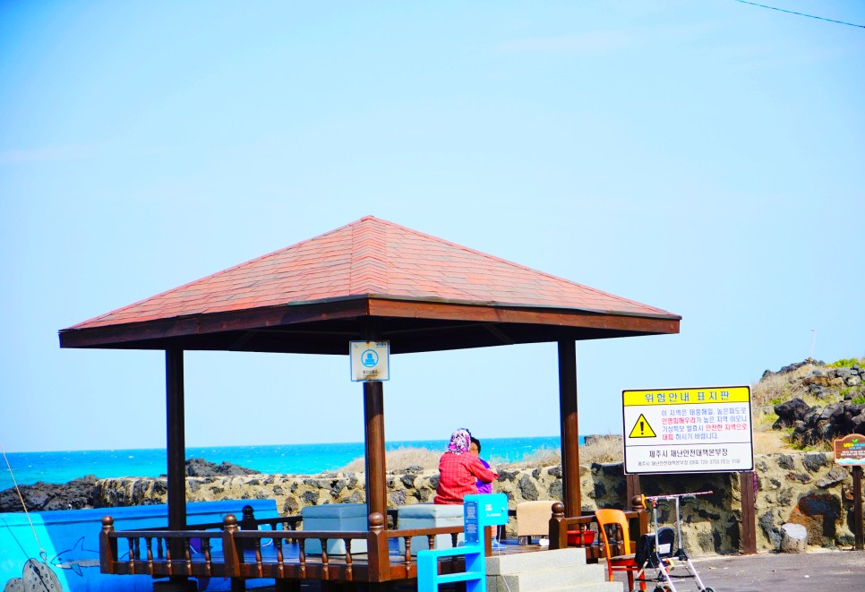 제주도 여행 제주맥주와 겨울 제주도 한달살기 지원 프로젝트