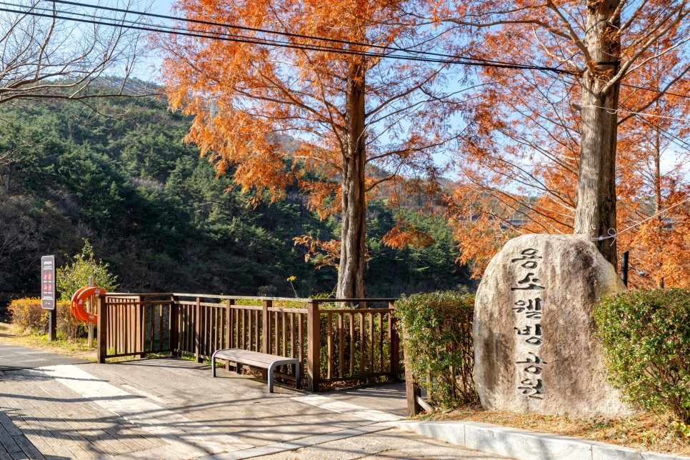 아름다운 자연과 함께하는 부산 해운대 & 기장 여행코스 :: 해운대 수목원, 용소웰빙공원, 신평소공원, 해운대 해변열차, 스카이캡슐, 부산 가볼만한곳