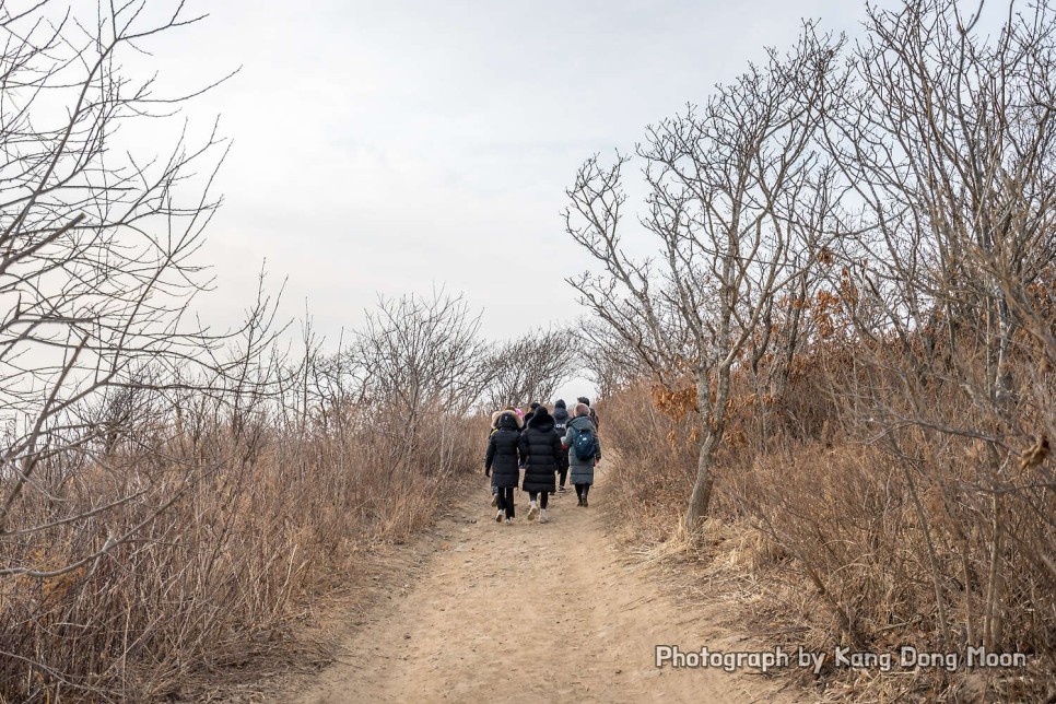 겨울 바다 보러 가볼만한곳 동유럽 여행 경비 적은 외국 러시아 블라디보스톡 여행