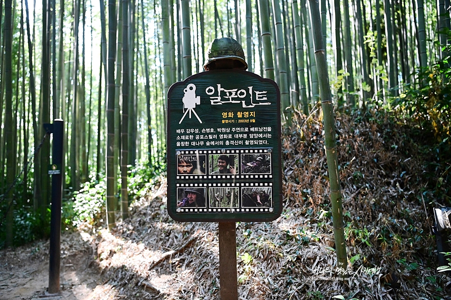 담양 가볼만한곳 대나무숲 프로방스 개구리생태공원 & 순창 강천산
