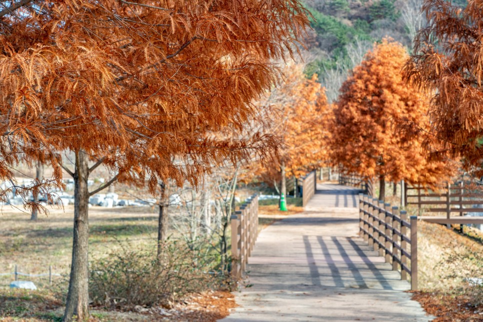 아름다운 자연과 함께하는 부산 해운대 & 기장 여행코스 :: 해운대 수목원, 용소웰빙공원, 신평소공원, 해운대 해변열차, 스카이캡슐, 부산 가볼만한곳