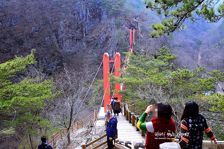 담양 가볼만한곳 대나무숲 프로방스 개구리생태공원 & 순창 강천산