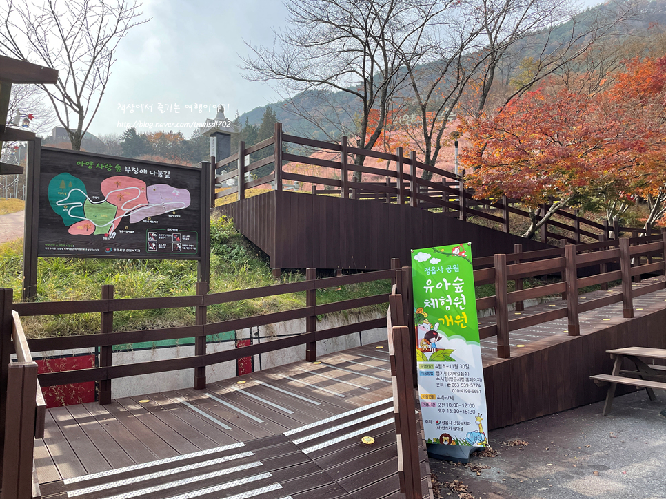전북 아이랑 갈만한곳, 정읍 여행 아양사랑숲 정읍사 문화공원 숲놀이터