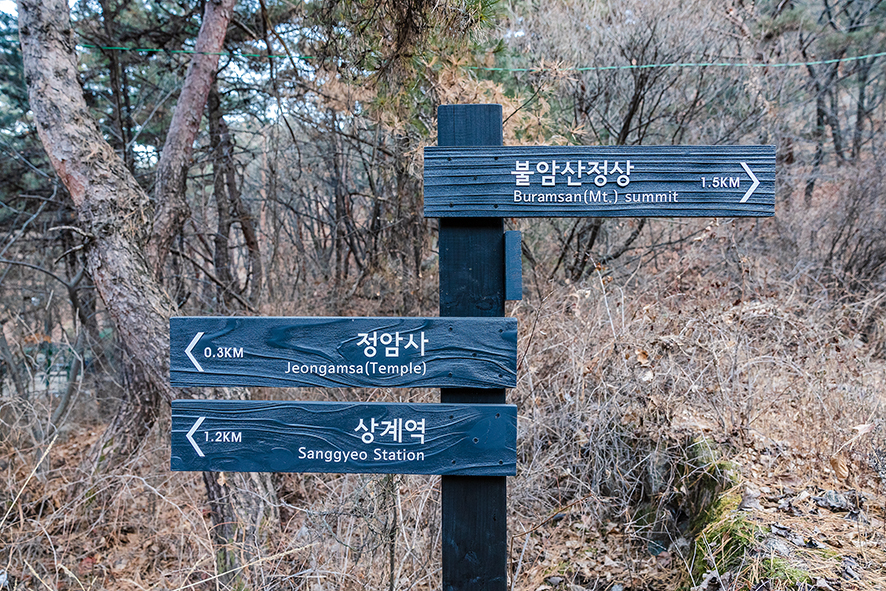 전북 아이랑 갈만한곳, 정읍 여행 아양사랑숲 정읍사 문화공원 숲놀이터