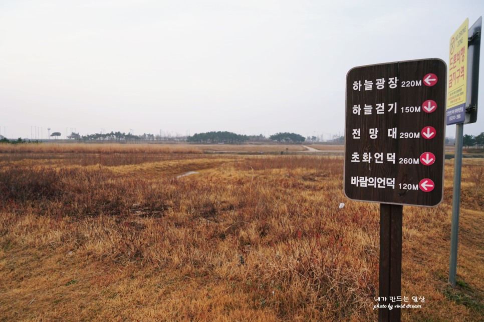 영종도여행 가볼만한곳 인천공항 하늘정원 갬성사진 명소