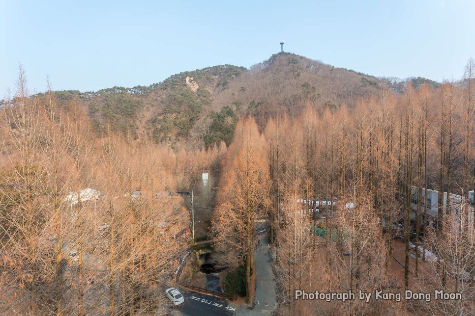 대전 가볼만한곳 장태산 자연휴양림 짧은 데이트 여행 등산 코스 대전 드라이브코스