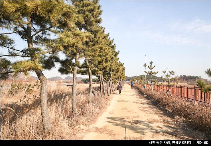 인천 소래습지생태공원 산책로 갯벌 둘레길