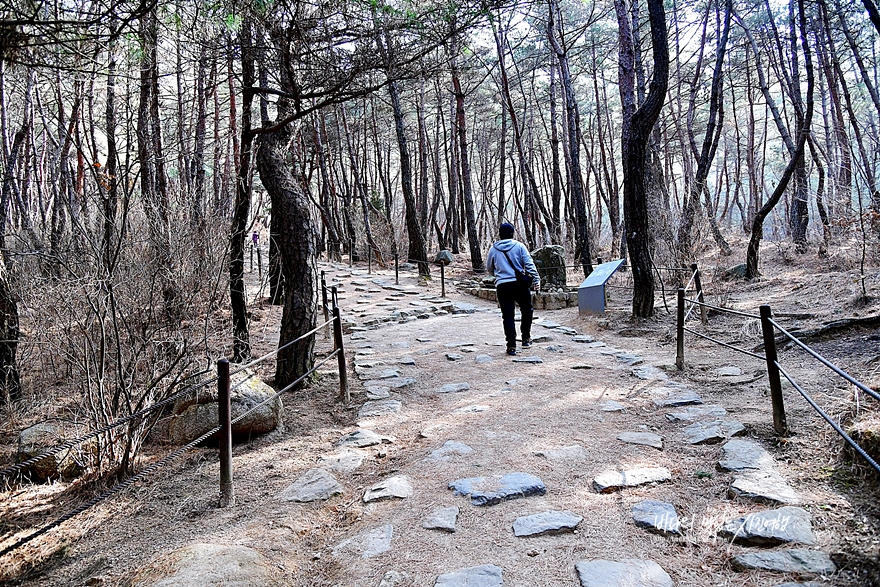 경주 가볼만한곳 경주 남산등산코스 노천박물관속으로