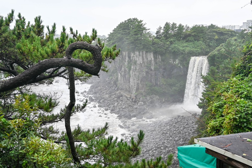 제주도 비올때 가볼만한곳 제주 정방폭포 등 서귀포 관광지 위주