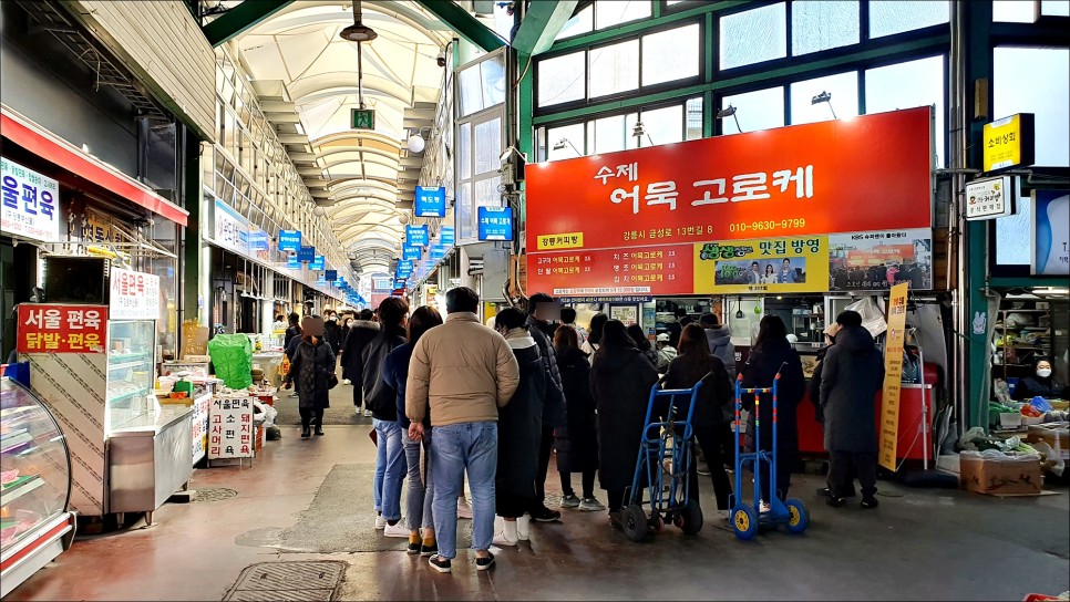 강릉 갈만한곳 먹거리 가득한 강릉 중앙시장 & 월화거리!