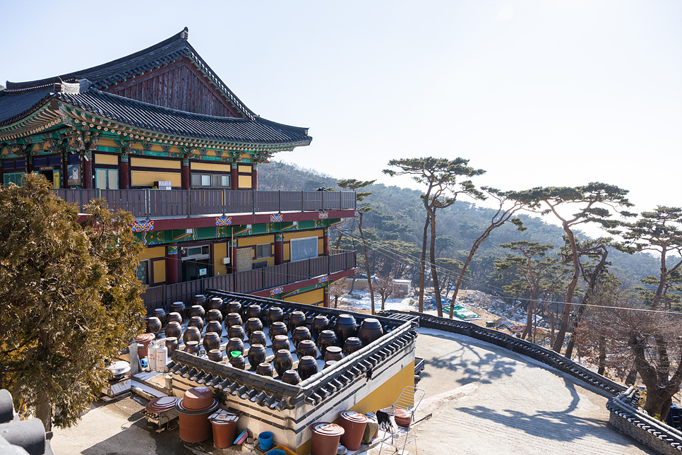 1월 국내 여행지 추천 겨울 여행 가볼만한곳 눈구경, 일몰 명소