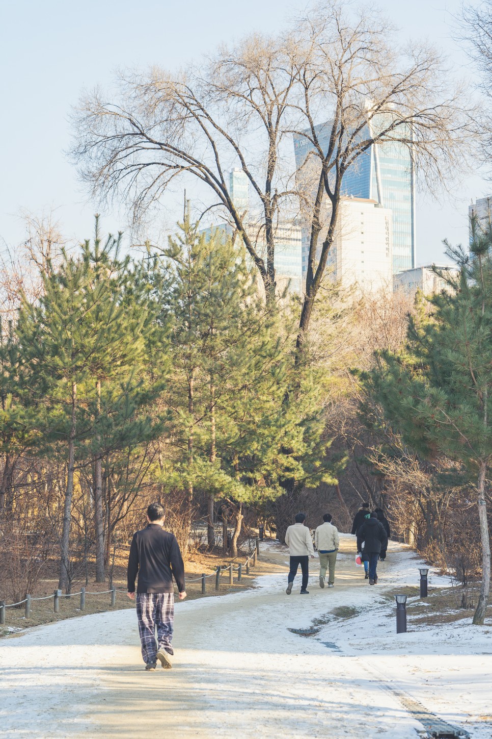 겨울에 걸으면 더 좋은 서울의 도심 속 숲길 4 :: 하늘공원 메타세쿼이아길, 안산 자락길, 선릉과 정릉(선정릉), 종묘
