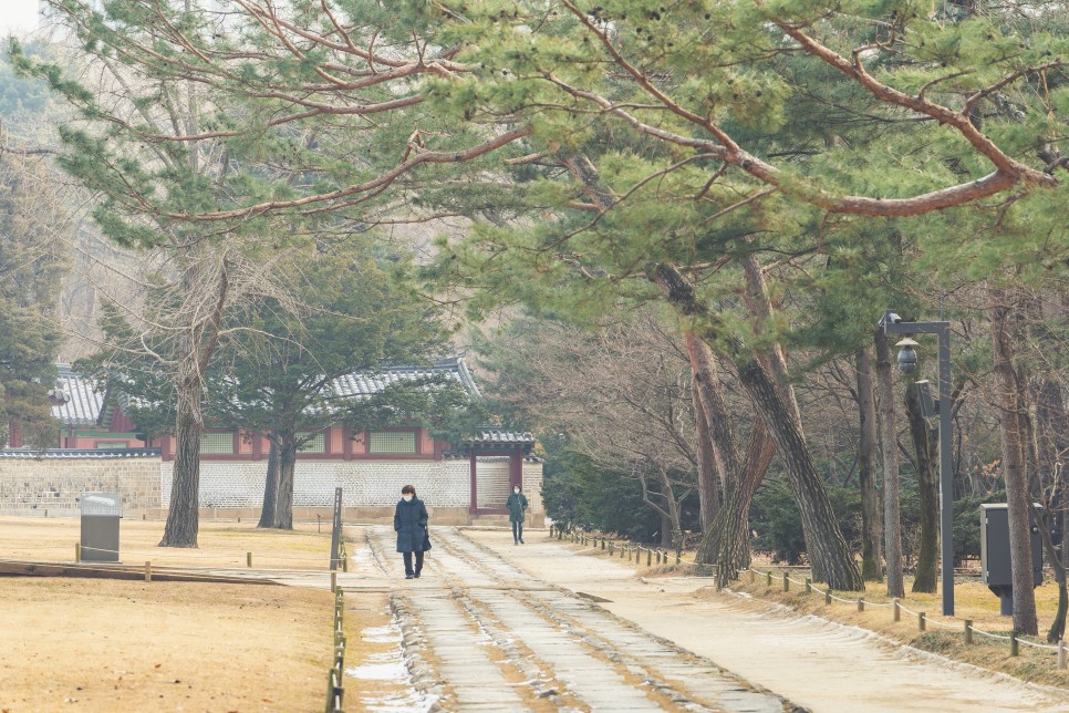 겨울에 걸으면 더 좋은 서울의 도심 속 숲길 4 :: 하늘공원 메타세쿼이아길, 안산 자락길, 선릉과 정릉(선정릉), 종묘