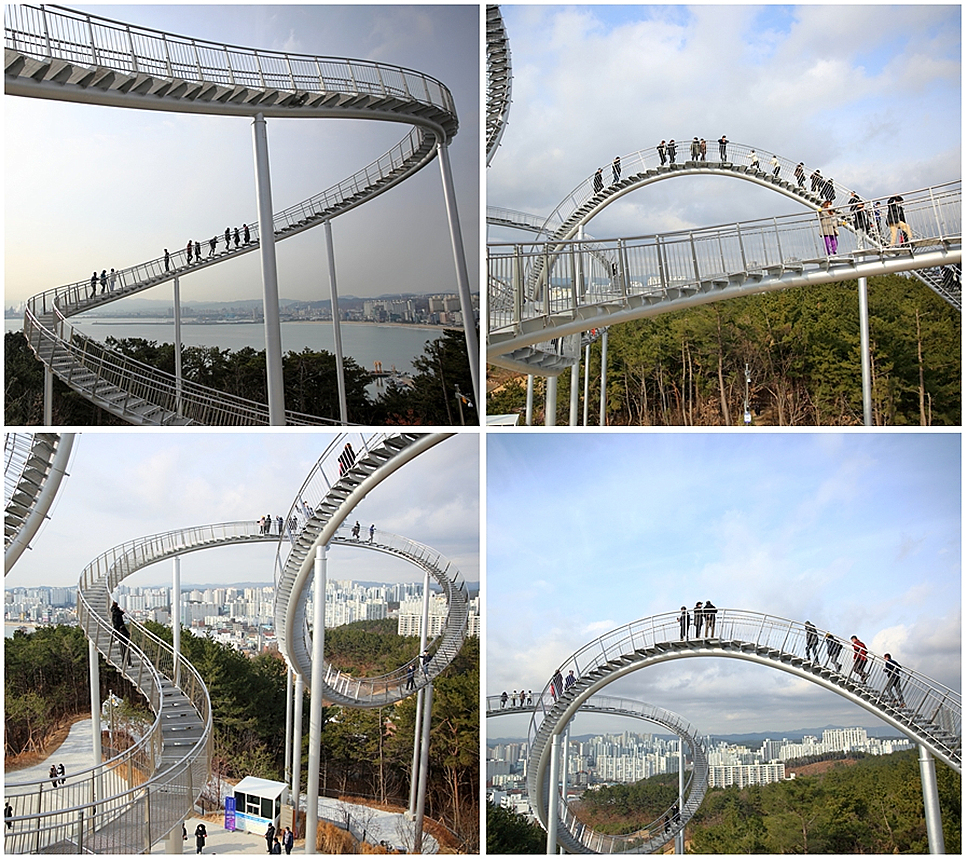 포항 스페이스워크 핫플 환호공원 포항 여행 겨울 놀거리