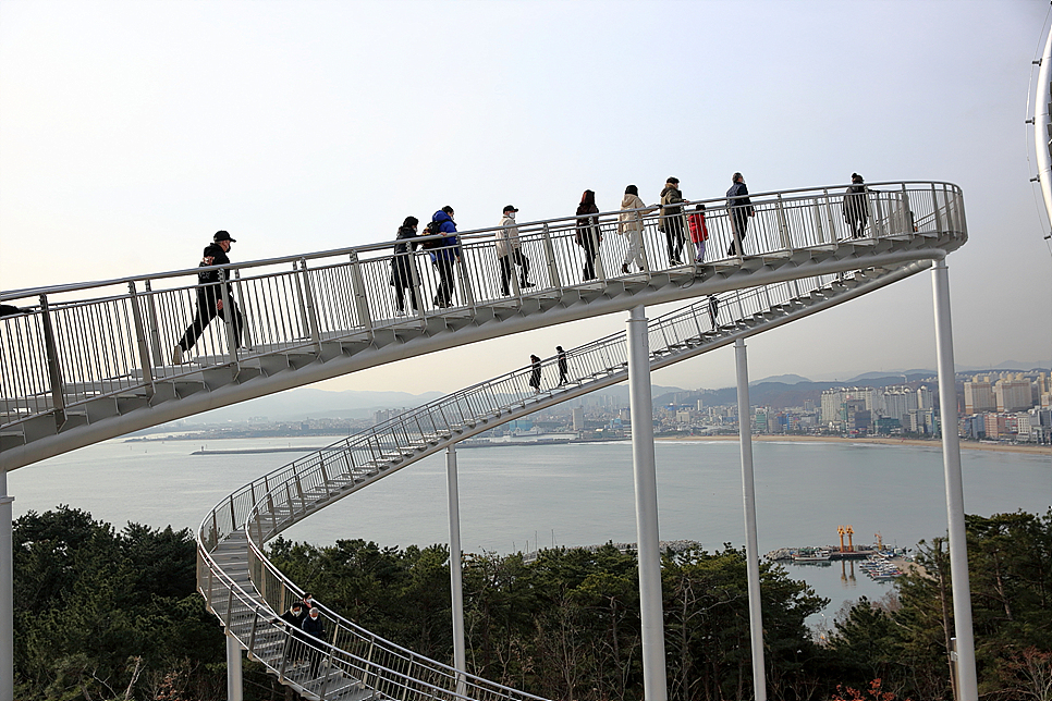 포항 스페이스워크 핫플 환호공원 포항 여행 겨울 놀거리