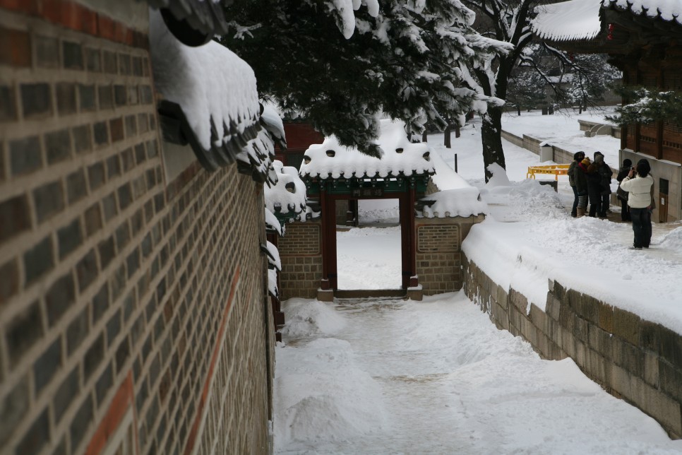 겨울에만 만날 수 있는 서울의 숨은 설경 명소 :: 남산서울타워, 창덕궁 후원, 덕수궁 돌담길(정동길), 올림픽공원