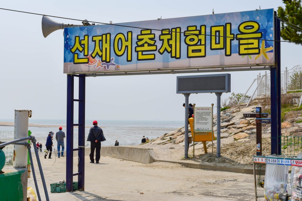 인천 선재도 가볼만한곳 뻘다방 등 서울근교 드라이브 코스