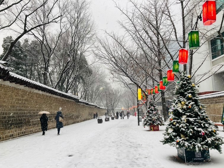 겨울에만 만날 수 있는 서울의 숨은 설경 명소 :: 남산서울타워, 창덕궁 후원, 덕수궁 돌담길(정동길), 올림픽공원
