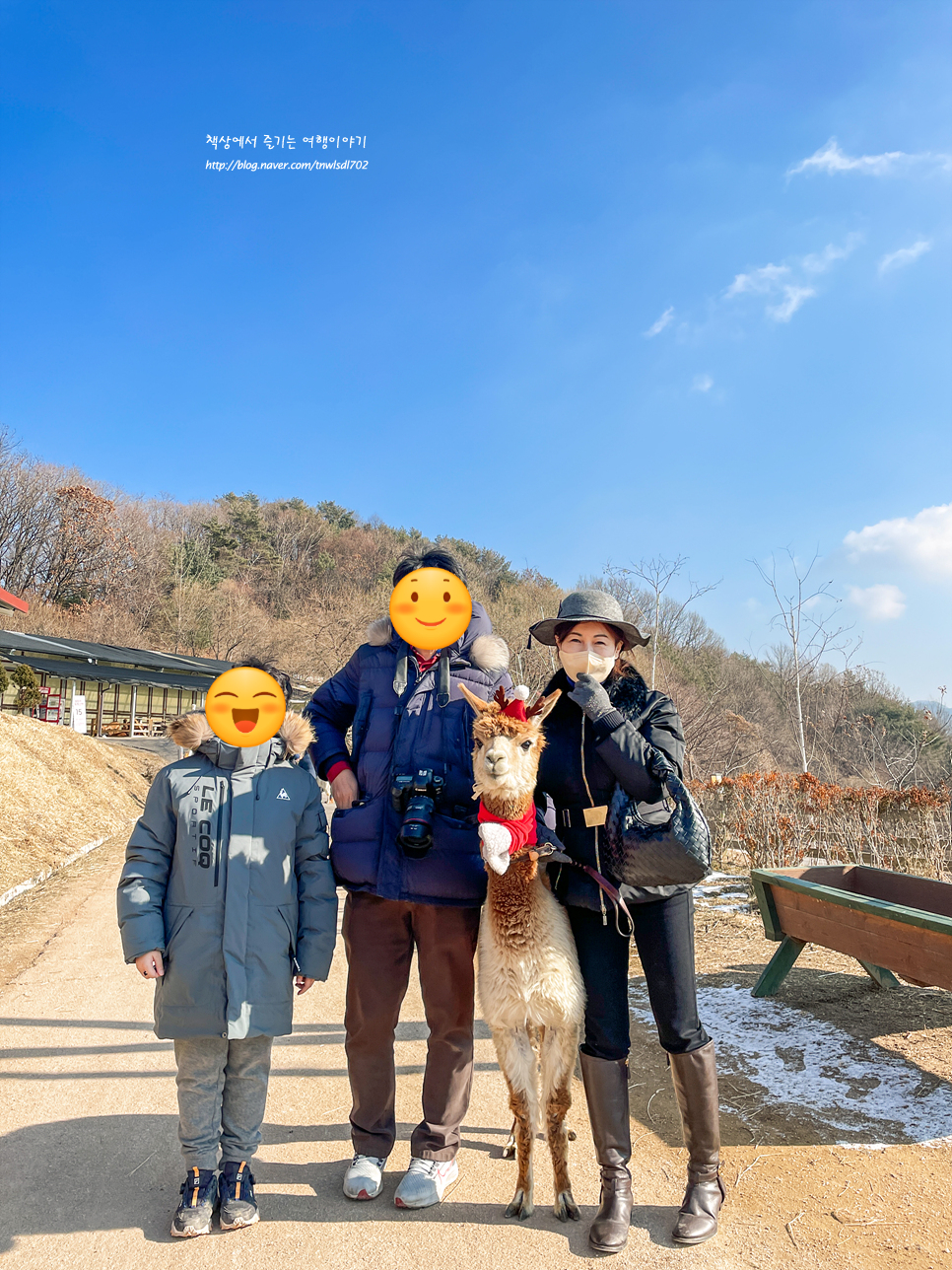 겨울 여행 아이들과 가볼만한곳, 홍천 알파카월드 동물농장체험