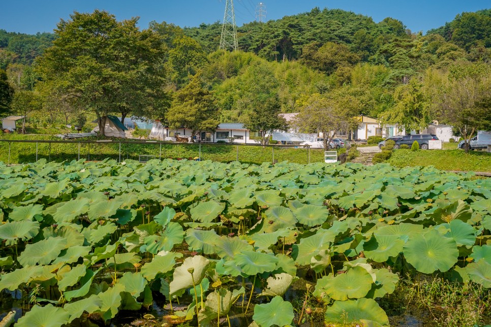 충남가볼만한곳 관광두레 대전근교체험여행 서산, 청양, 태안 外