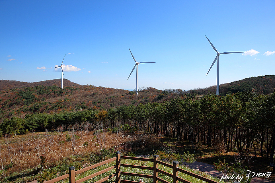 경주 금장대 산책로 풍력발전소 경주 토함산자연휴양림 사람없는곳