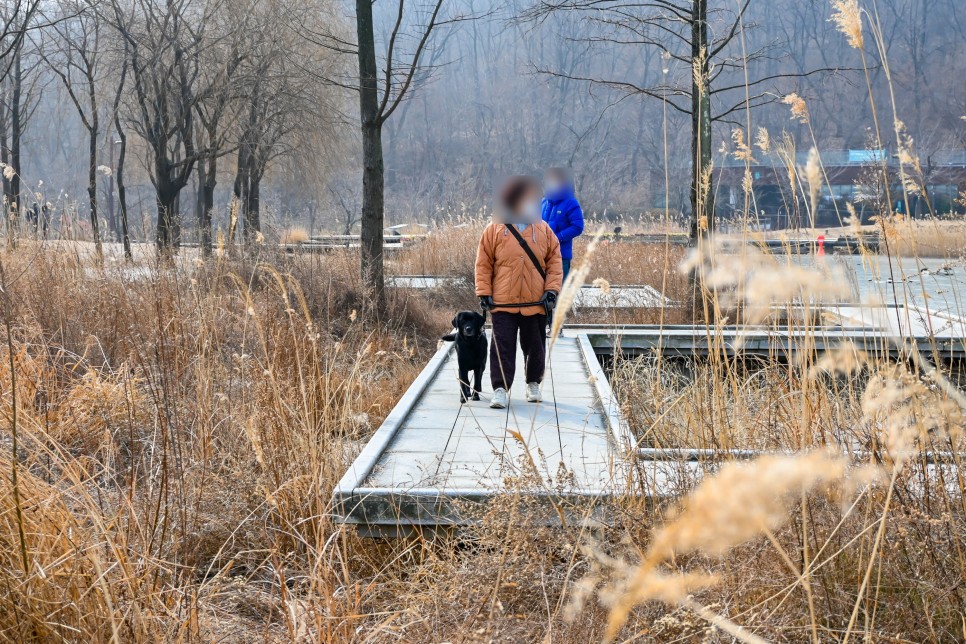 서울공원 추천 북서울꿈의숲 산책 하기좋은곳