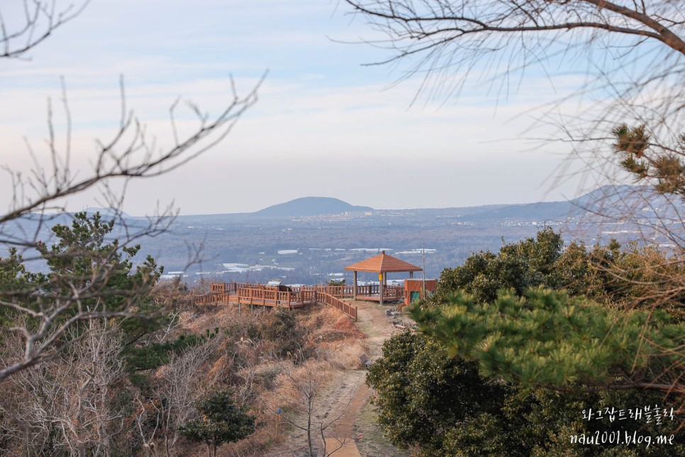 제주도 오름추천 차로 올라가는 제주 군산오름