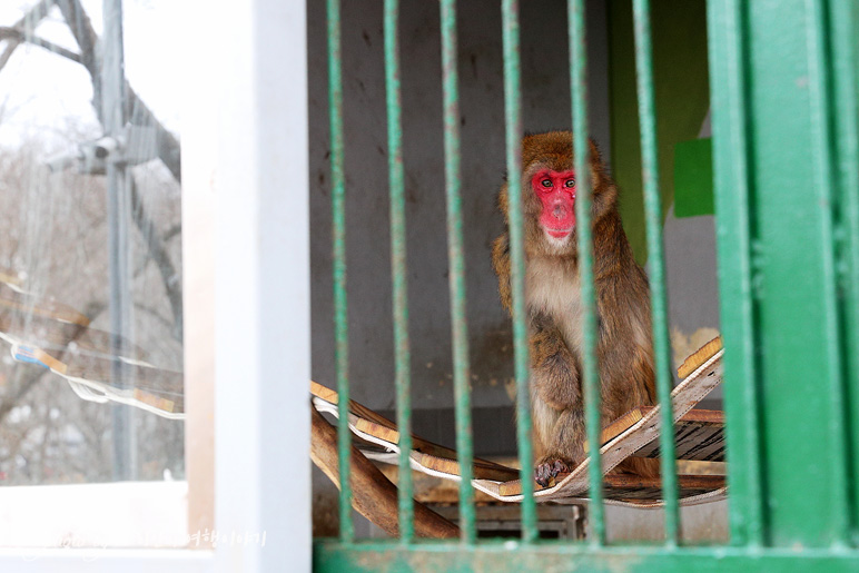 진주 가볼만한곳 진양호 공원 진주 동물원 호반 드라이브