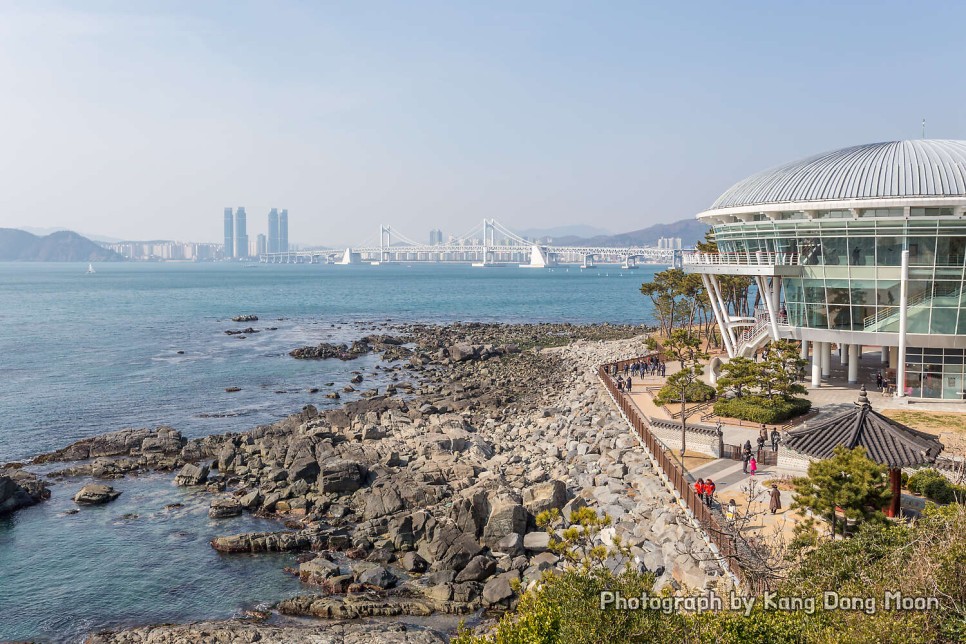 부산 가볼만한곳 데이트 코스 혼자 부산 갈만한곳 여행 코스 명소 해운대 해수욕장 동백섬 바다