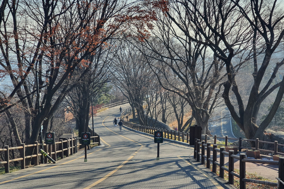 서울 가볼만한곳 남산 순환버스 남산 공원 전망대 당일치기 여행
