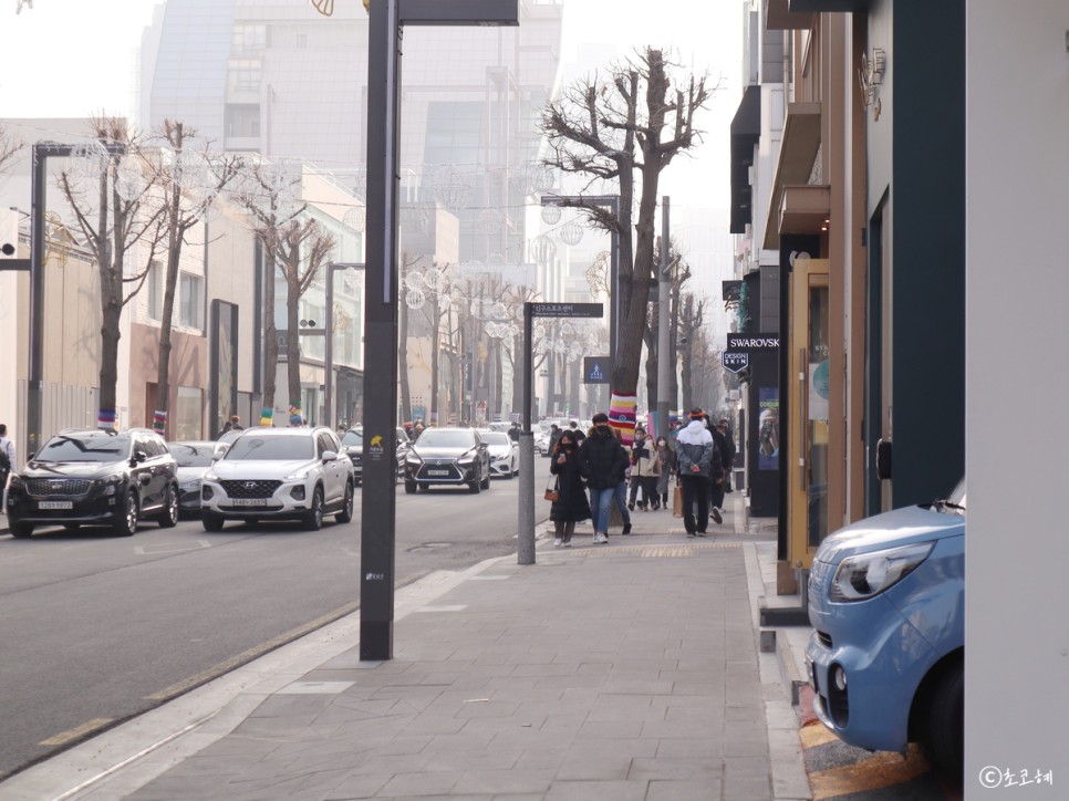 가로수길 핫플 옐로우바스켓 노티드 & 웰스팜 팝업 스토어