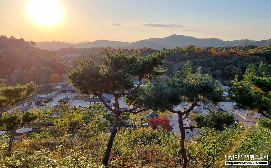 부여여행 가볼만한곳, 핫플 하트 성흥산성 사랑나무 일몰