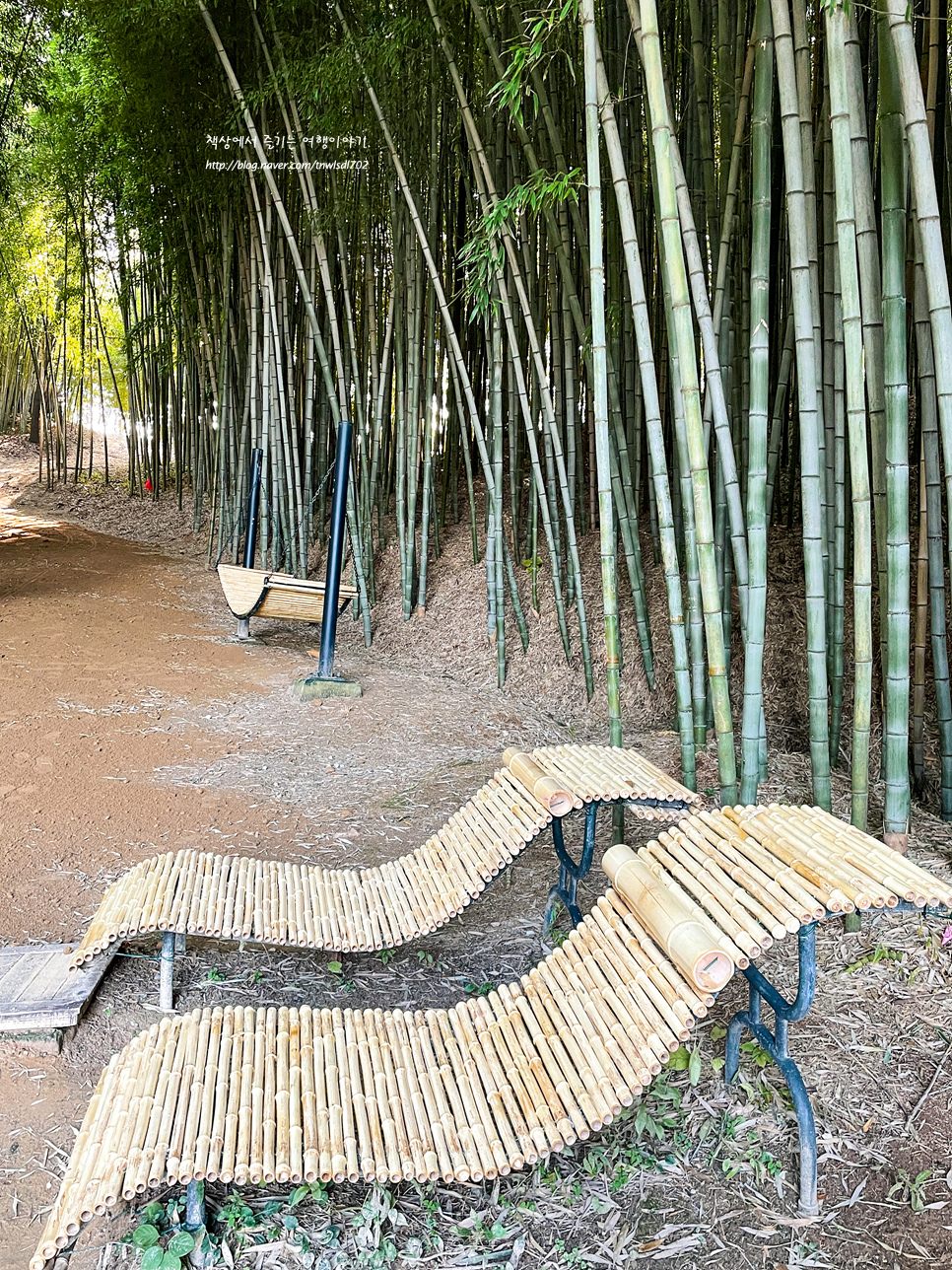 전남 여행 담양 죽녹원 대나무숲, 한옥카페