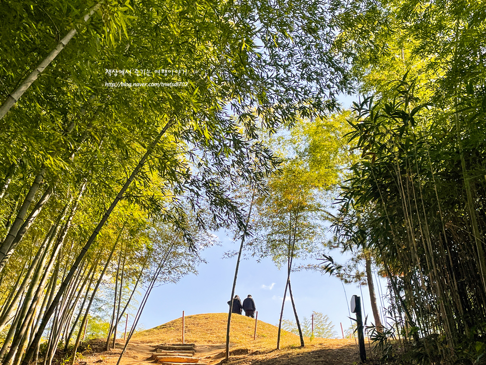 전남 여행 담양 죽녹원 대나무숲, 한옥카페